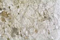 Péridotite LPNA x3,5